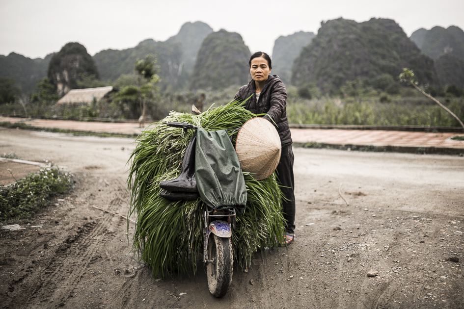 dans le paysage de la région de Ninh Binh, une vietnamienne prend la pause avec son scooter rempli de plantes