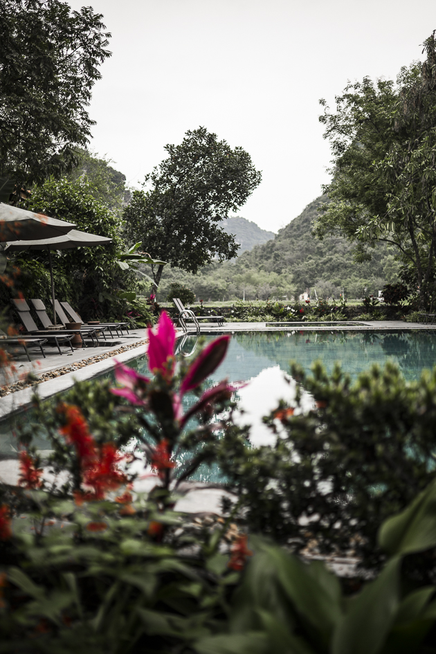 vue sur la piscine de l'hôtel dans la région de la baie d'Halong terrestre